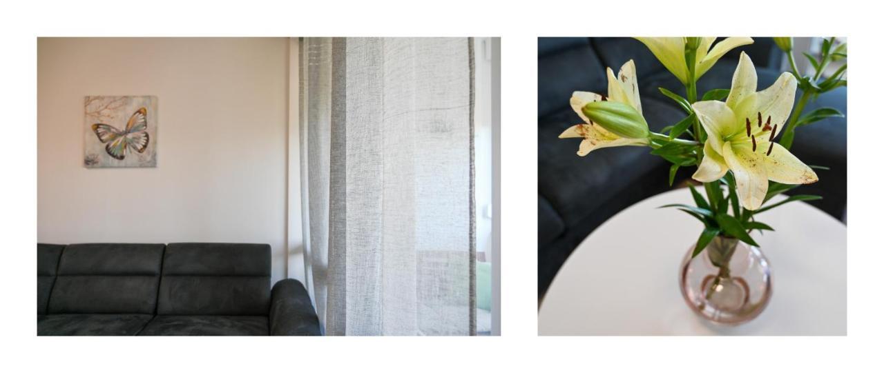 Apartman Armando Zadar Ngoại thất bức ảnh